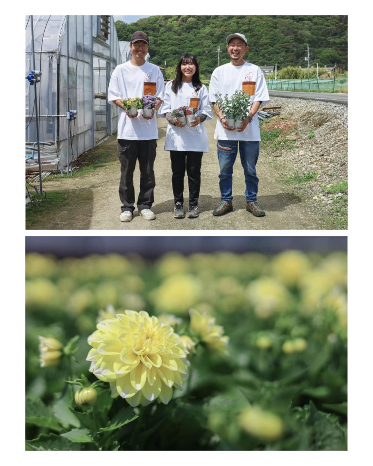 White Smile Project WEBサイト|花農家 撮影|兵庫県姫路市の夕雲舎デザイン事務所